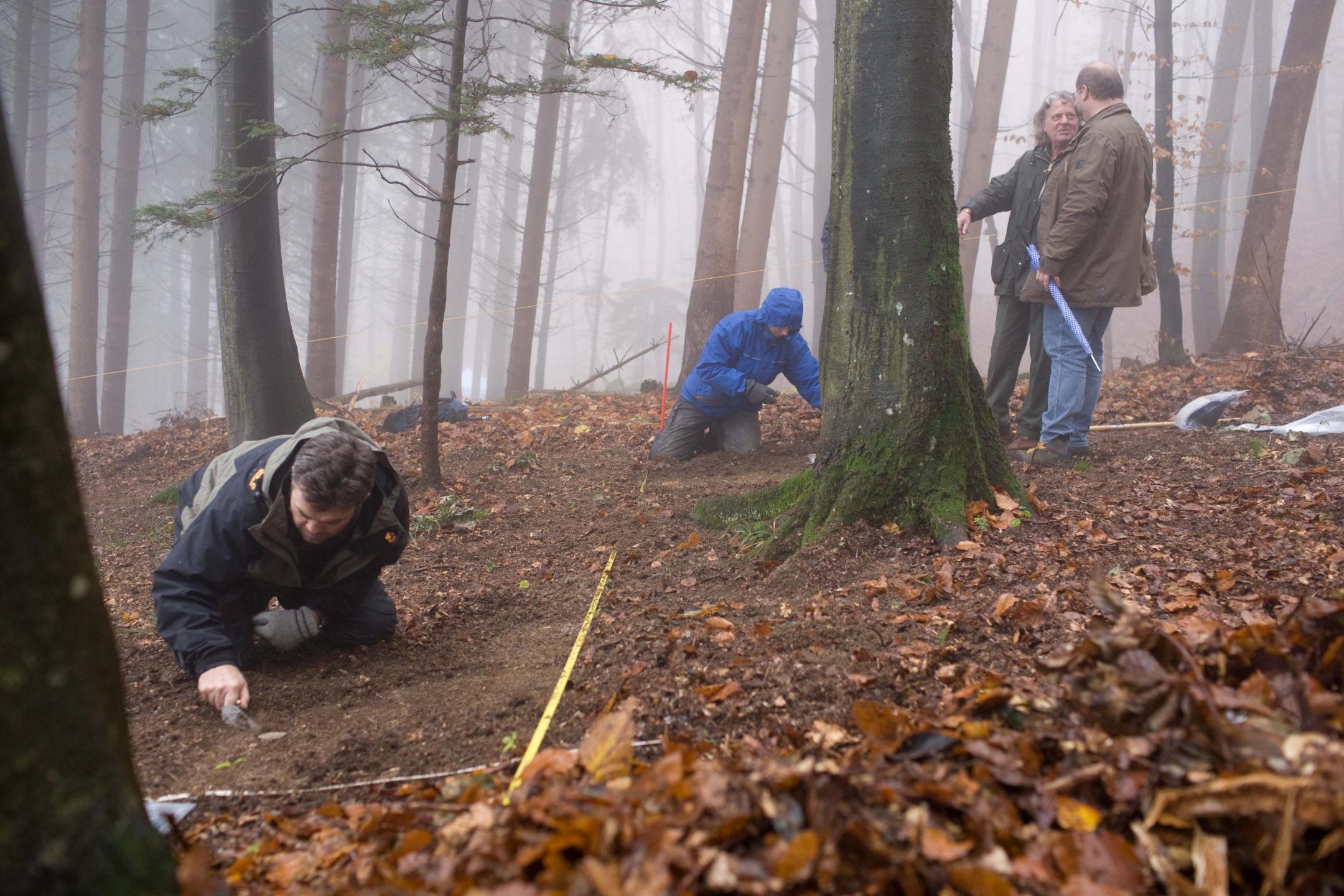 Vier Personen untersuchen den Waldboden in einem nebligen Wald.