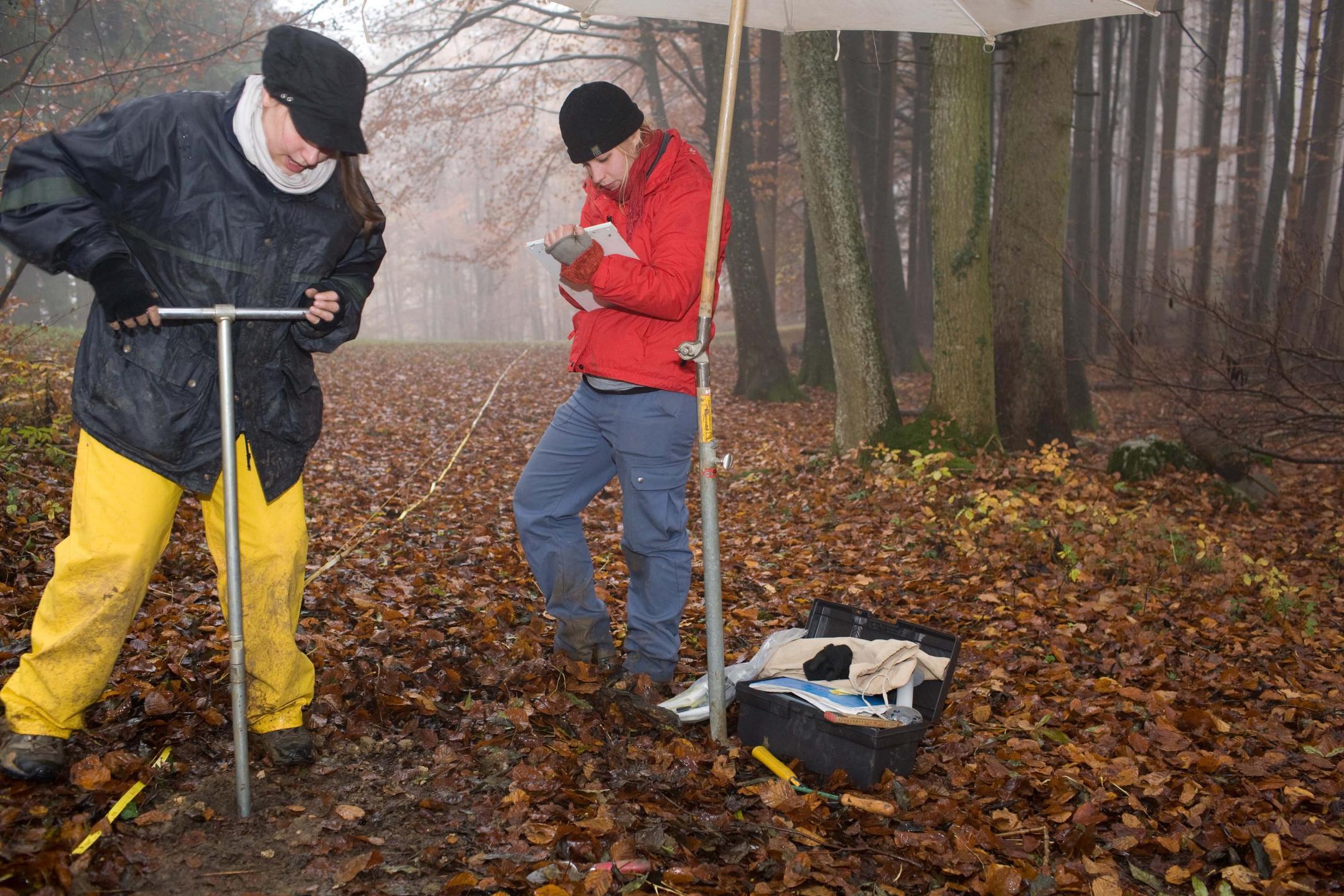Zwei Frauen nehmen eine Bodenprobe in einem nebligen Wald.