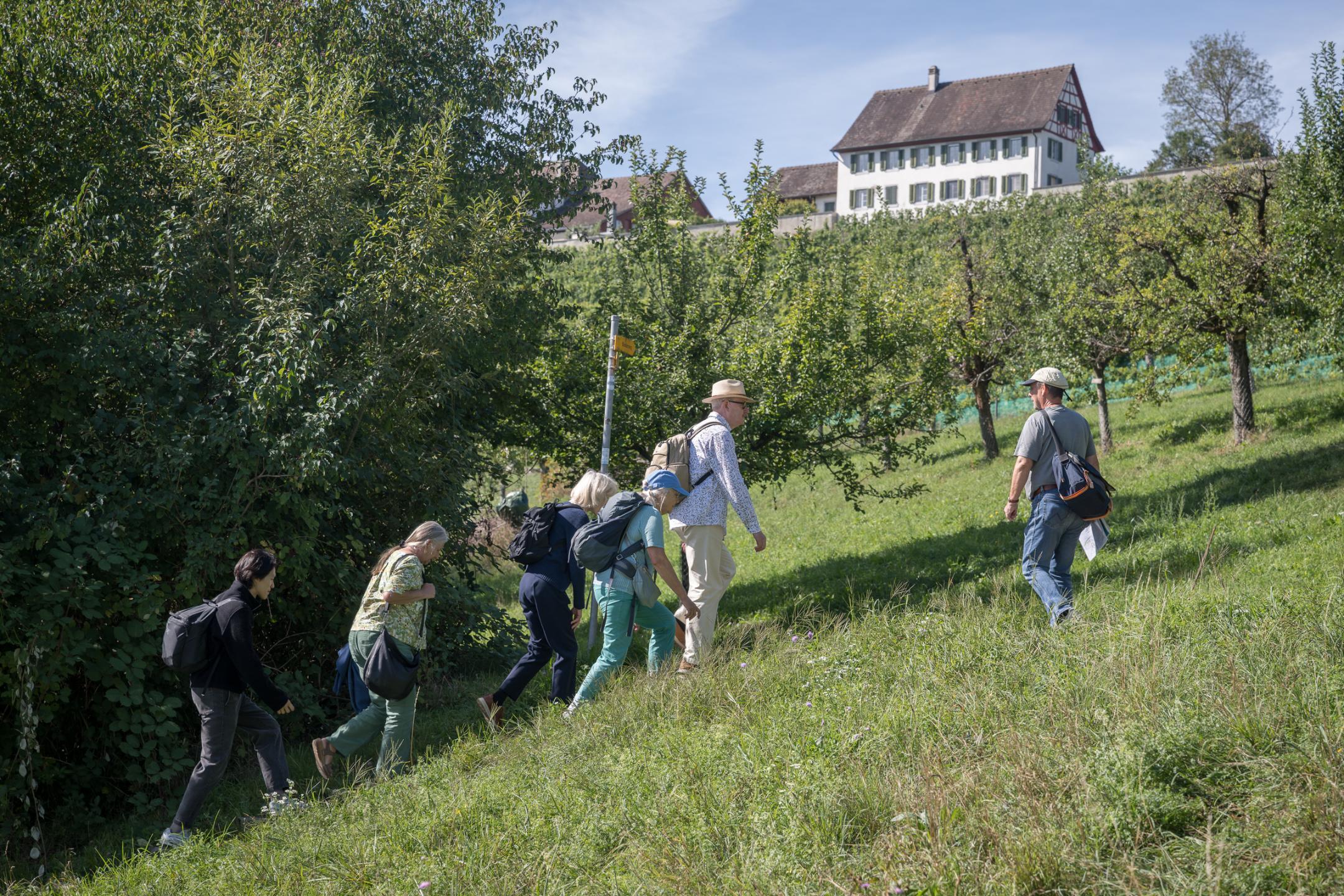 Spaziergang in der Umgebung der Klosterinsel