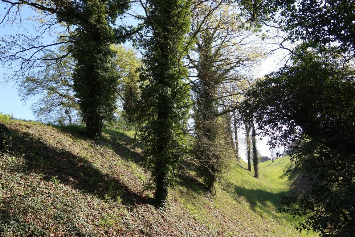 Eine Wallanlage aus keltischer Zeit in Rhieinau