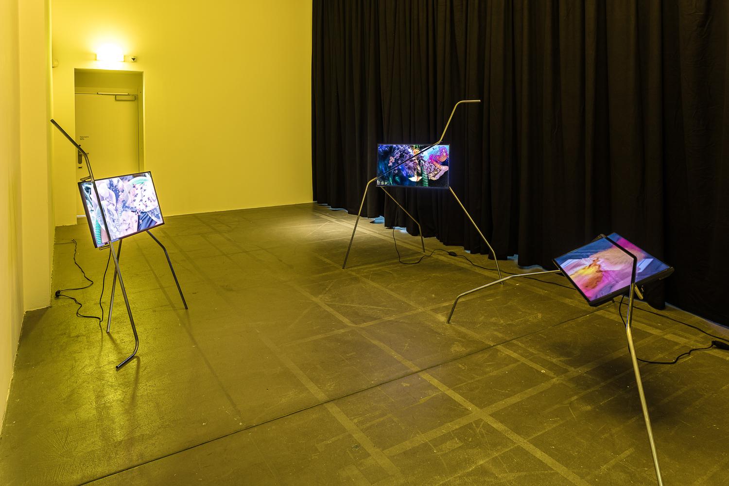 Installation mit drei Bildschirmen