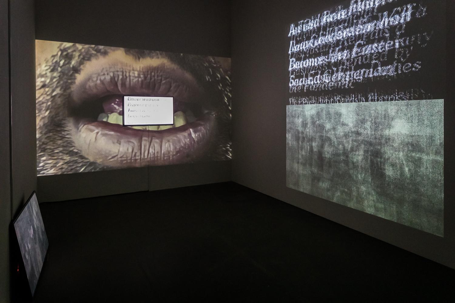 Videoinstallation, grosser Mund