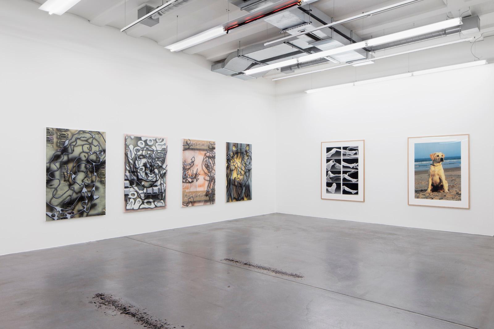 Ausstellungsansicht Werkschau 2017