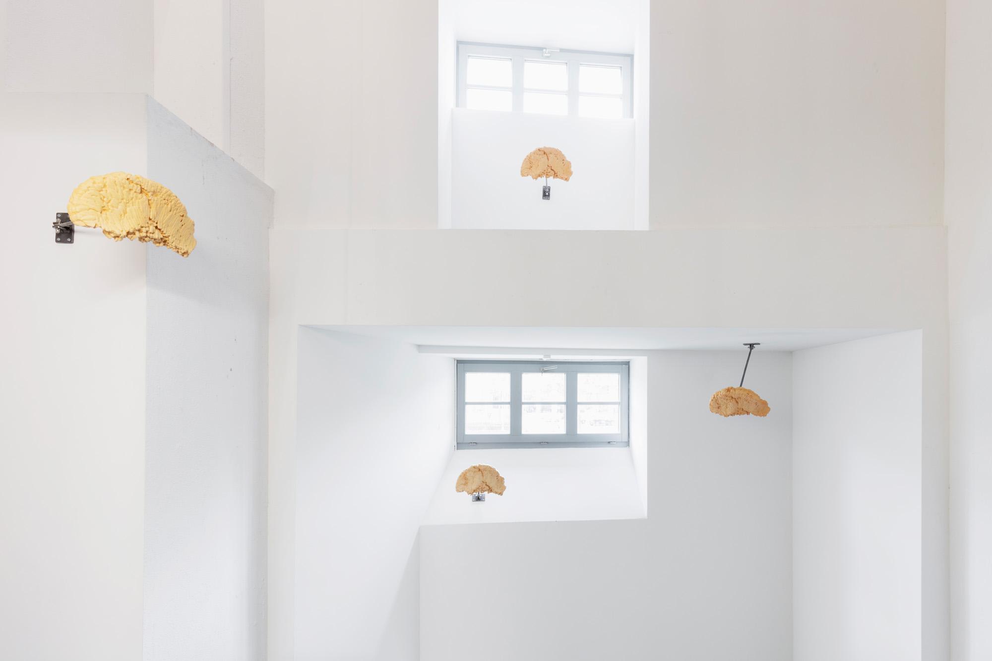 Ausstellungsansicht Werkschau 2018