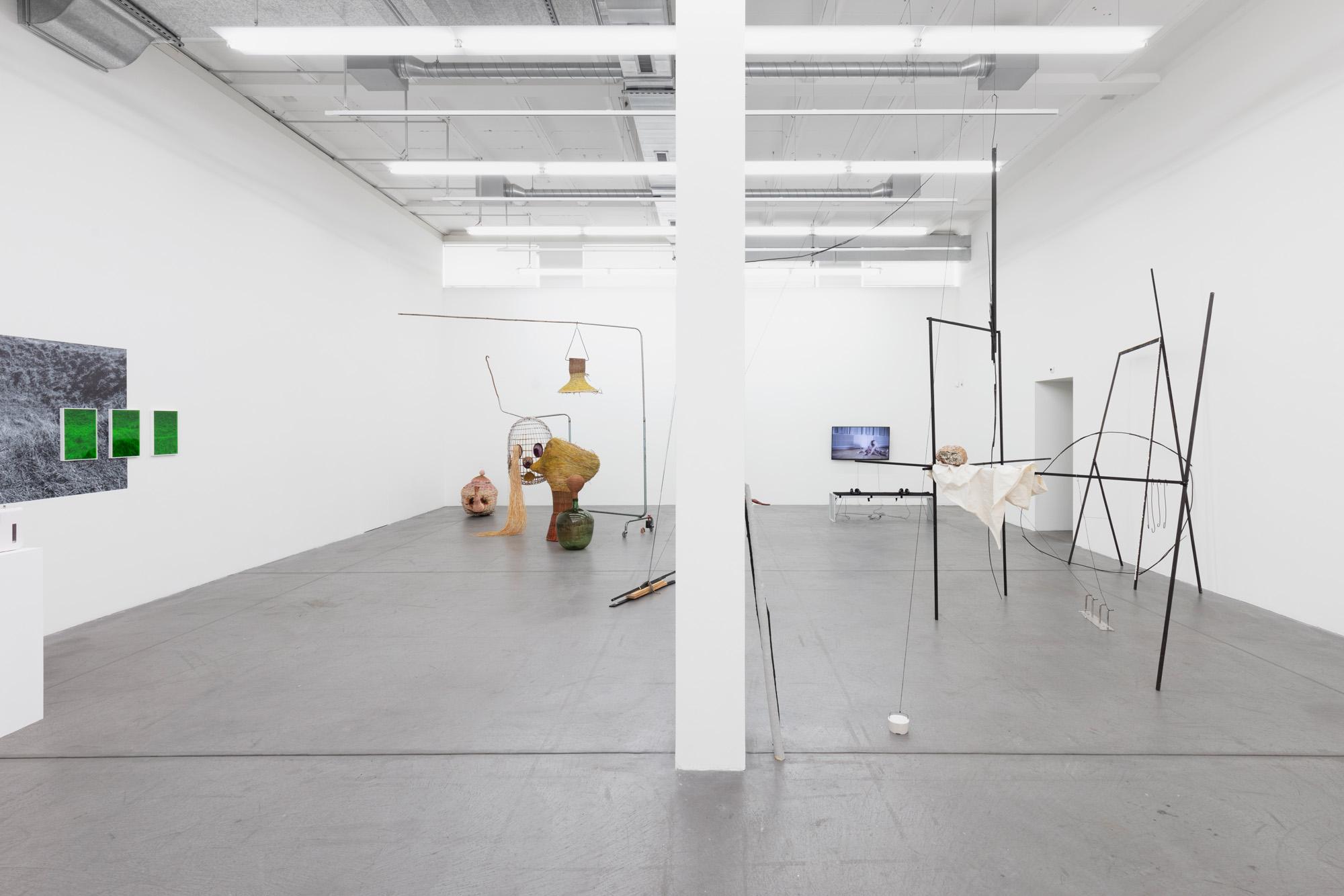 Ausstellungsansicht Werkschau 2019