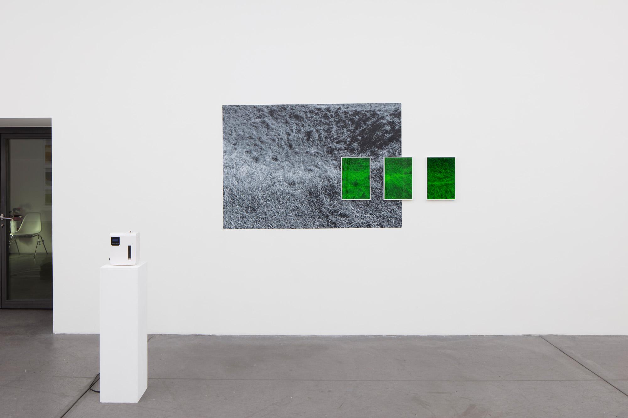 Ausstellungsansicht Werkschau 2019