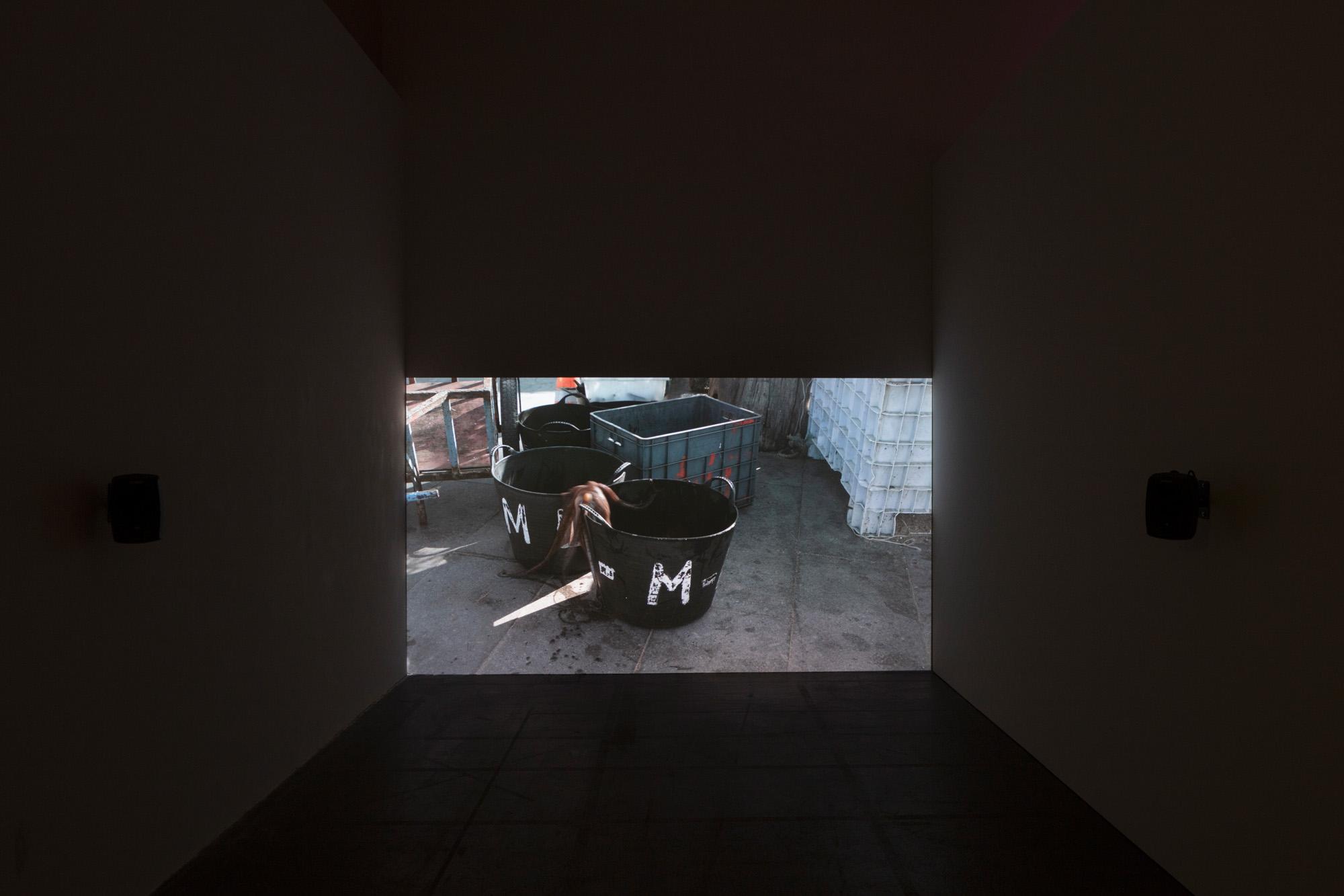 Ausstellungsansicht Werkschau 2019