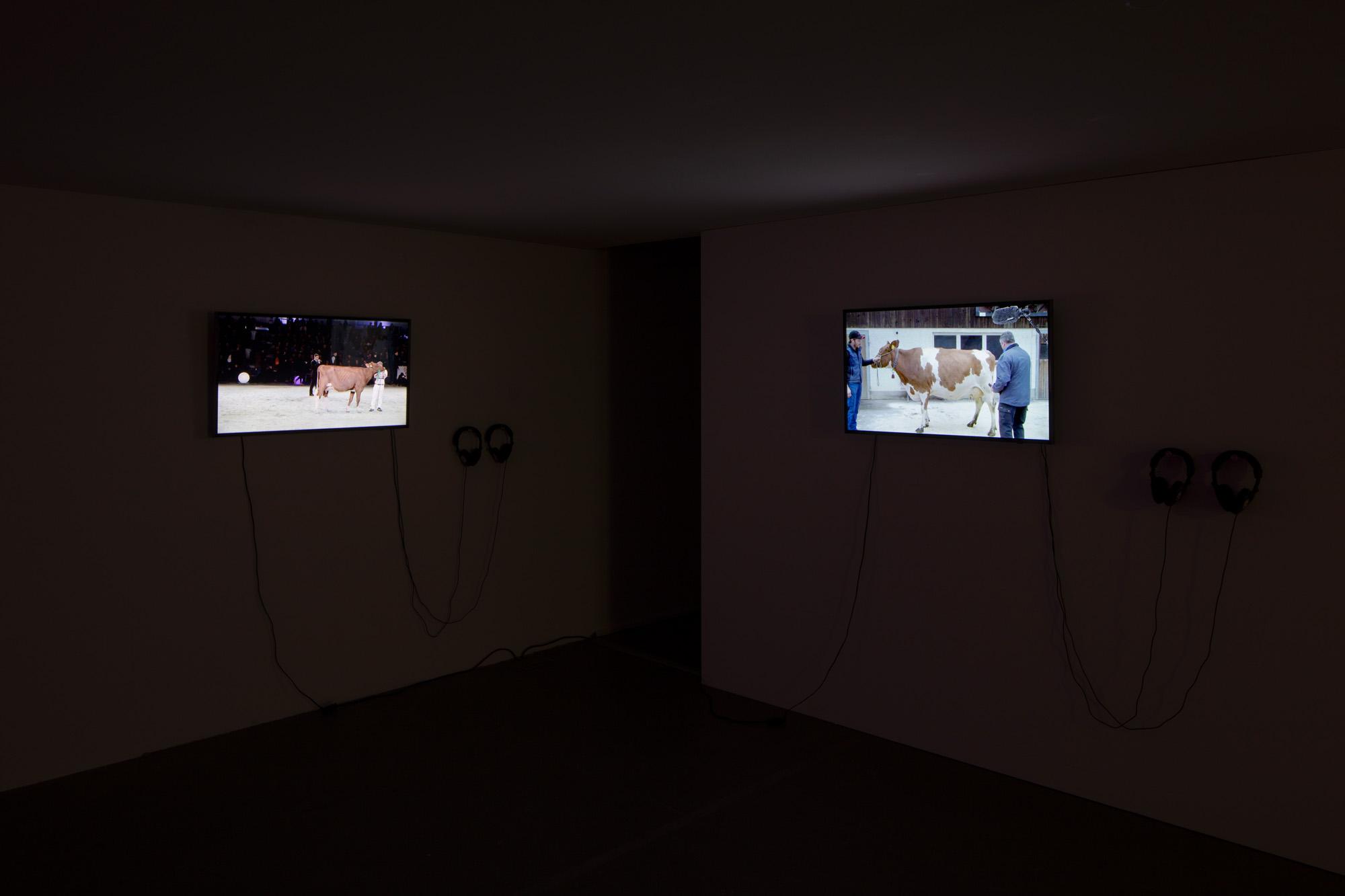 Ausstellungsansicht Werkschau 2019