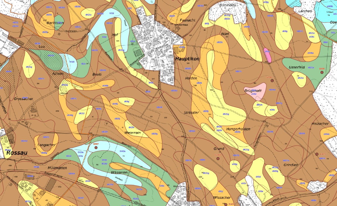 Ausschnitt einer Bodenkarte um die Orte Hauptikon und Rossau. Ein buntes Mosaik verschiedener Farbflächen markiert die unterschiedlichen Böden, ohne dass hier die Farben genauer erläutert werden.
