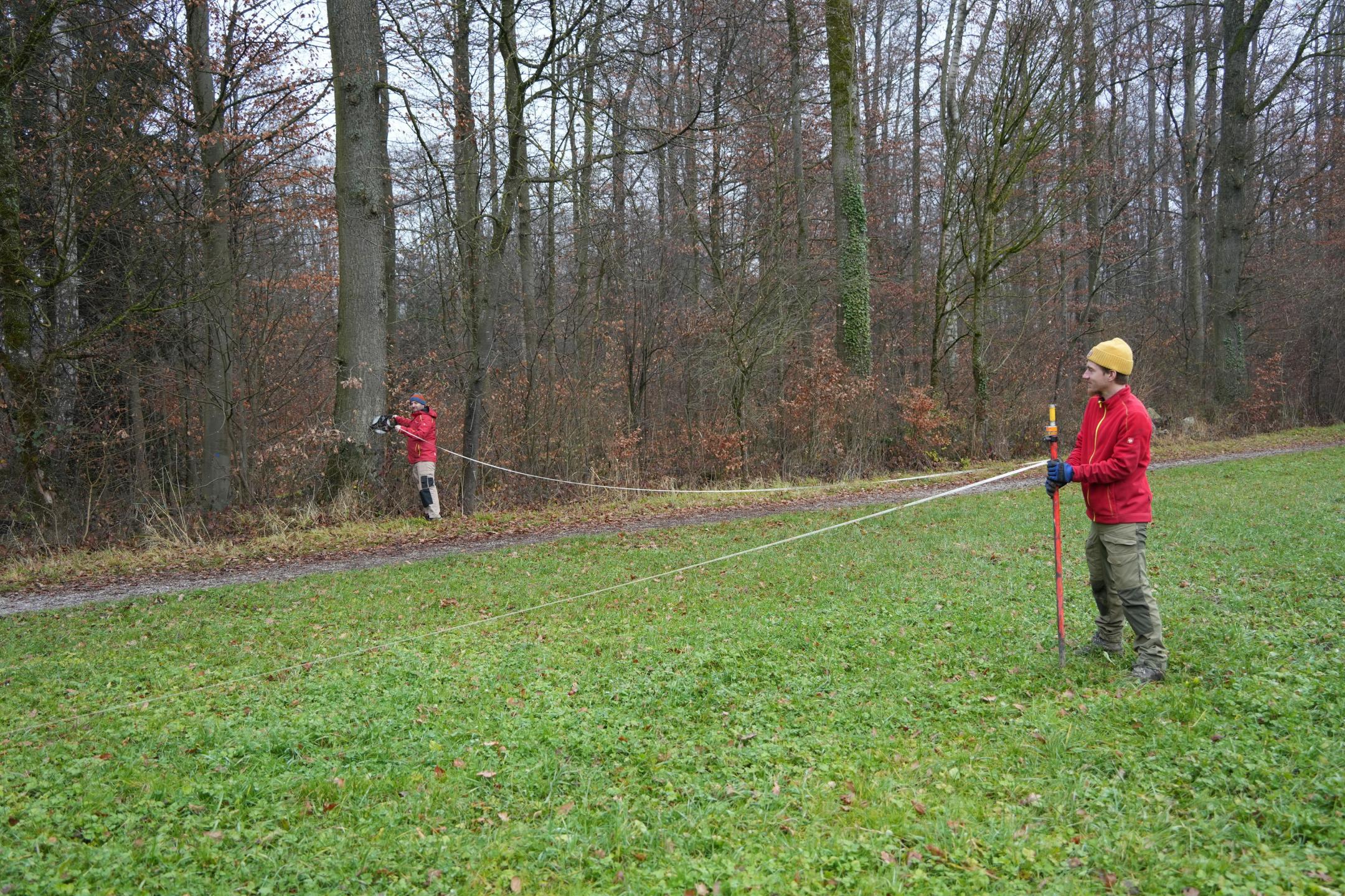 Einmessung Probestandort