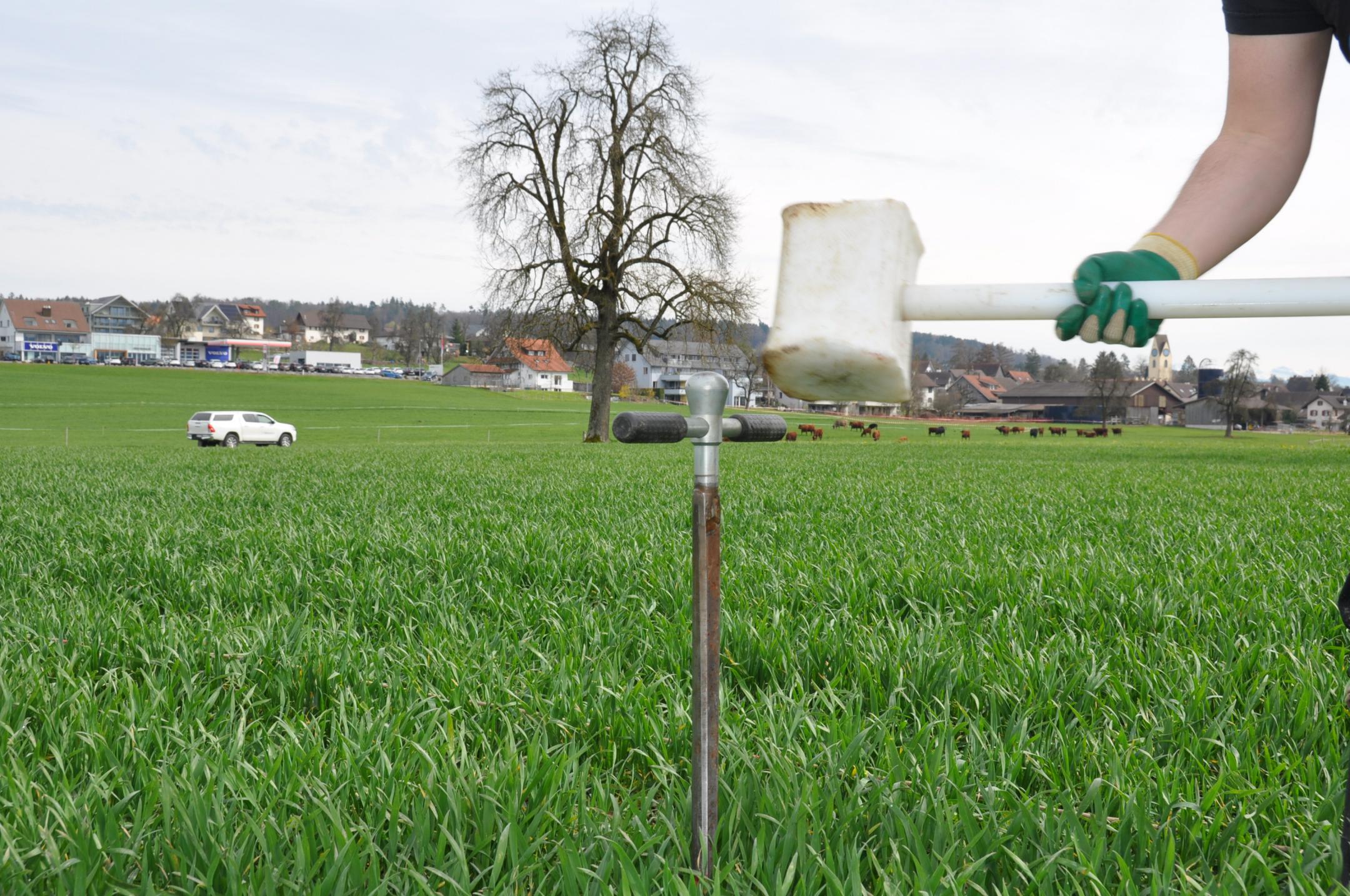 Beprobung des Unterboden