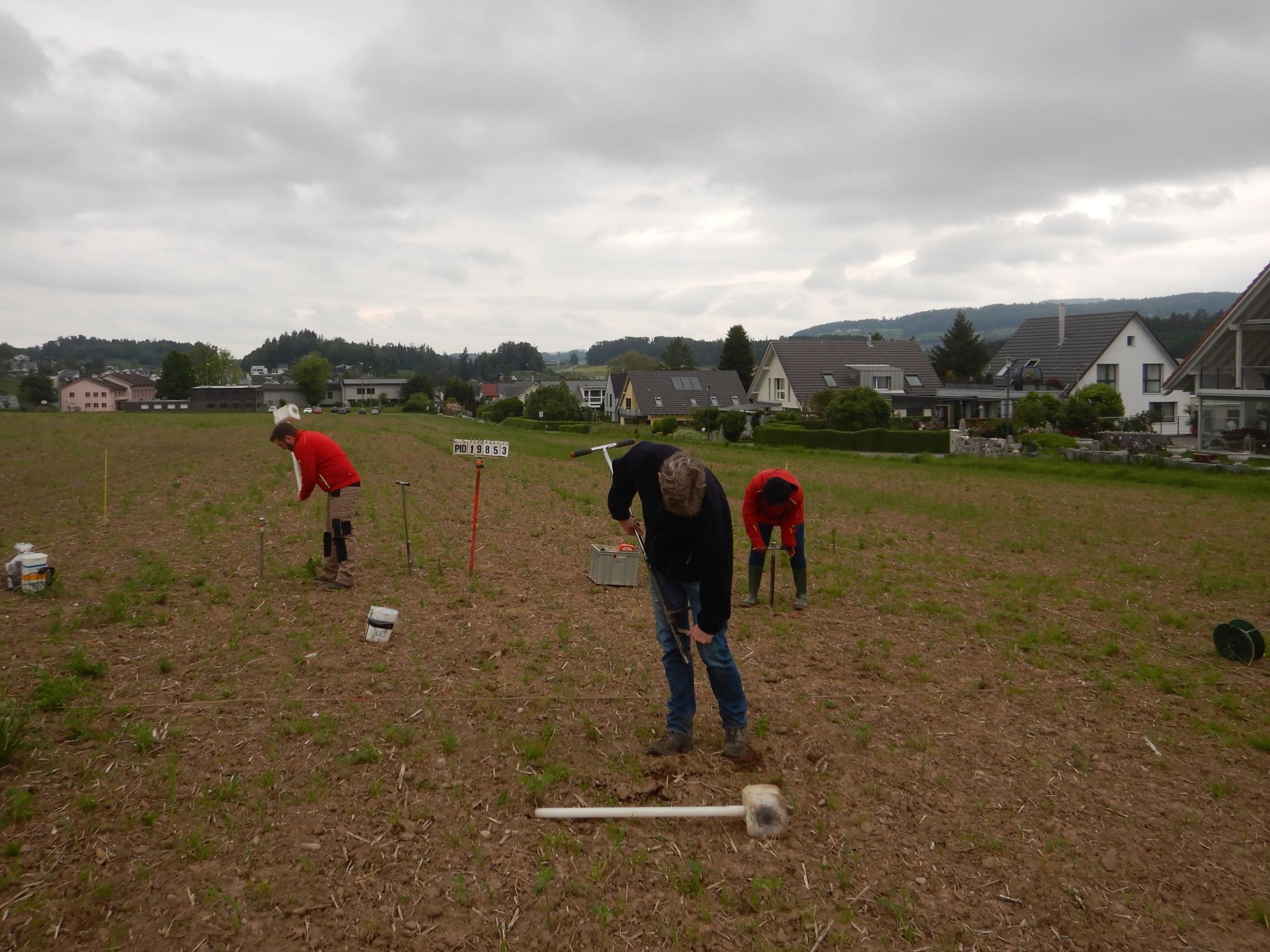 Probenahme auf einem Acker