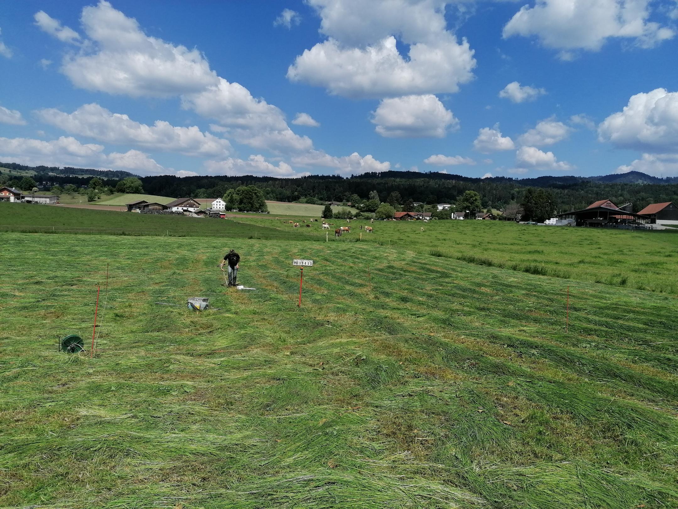 Probenahme auf einer Dauerwiese