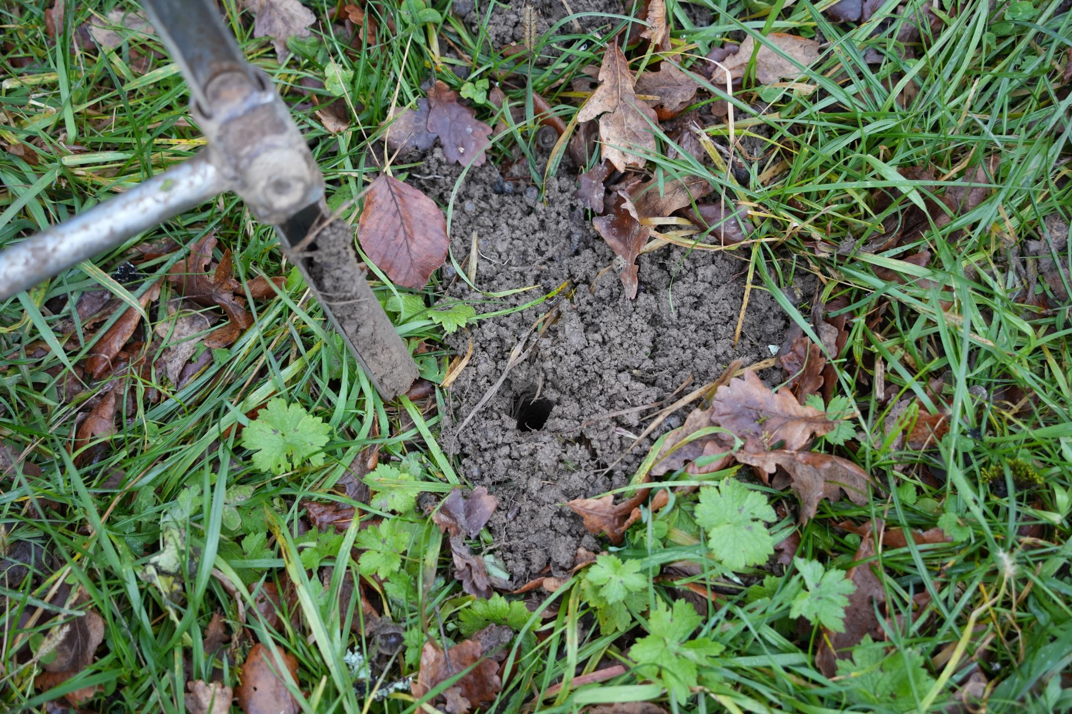 Minimaler Eingriff bei Bodenbeprobung