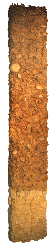 Bodenprofil der Parabraunerde in Niederweningen mit detaillierten Textinformationen. Dieser Boden enthält viel Kies, ist durchlässig, tiefgründig, stark sauer und steil. Genutzt wird er vor allem als Wald.