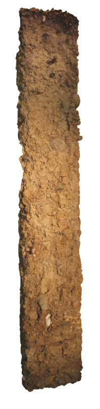 Bodenprofil der Parabraunerde in Bachs mit detaillierten Textinformationen. Dieser Boden ist sauer, kieshaltig, durchlässig und sehr tiefgründig. Genutzt wird er vor allem als Wald, für Ackerbau ist er nur eingeschränkt geeignet.