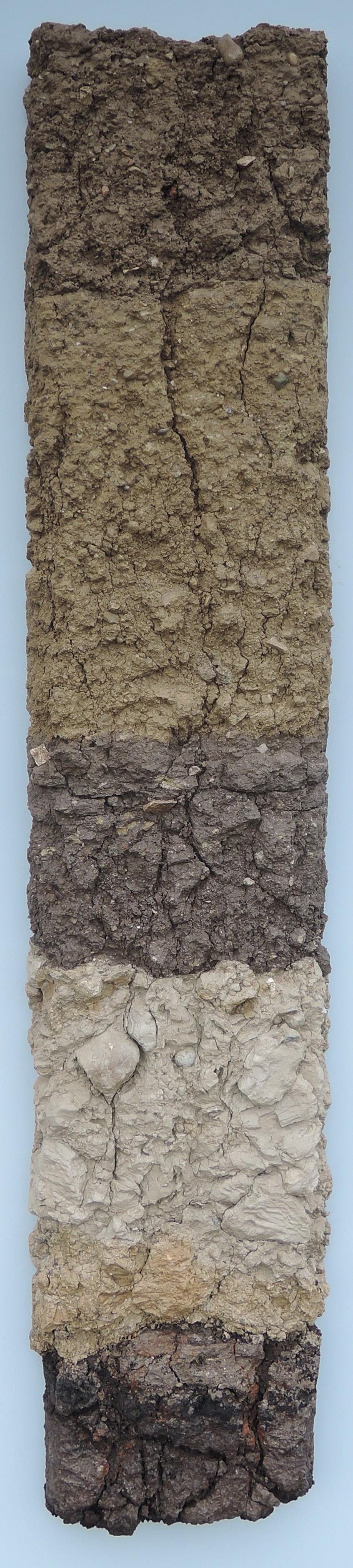 Bodenprofil einer Auffüllung in Kleinandelfingen mit detaillierten Textinformationen. Dieser Boden enthält wenig Steine, ist wasserdurchlässig und gut durchlüftet. Er ist für Ackerbau geeignet.