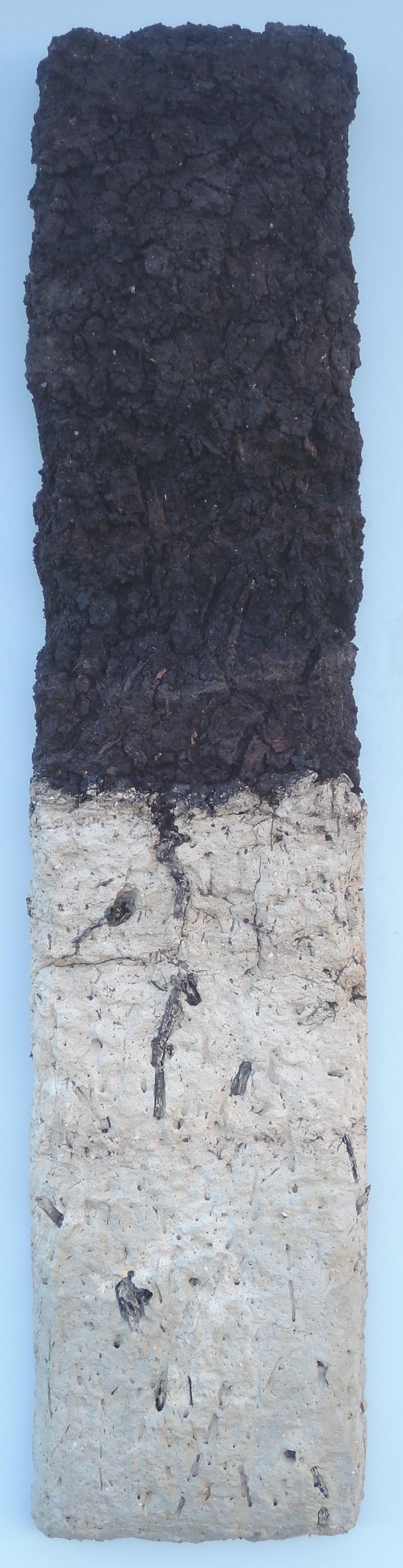 Bodenprofil des Halbmoors in Kleinandelfingen mit detaillierten Textinformationen. Dieser Boden ist steinfrei, organisch und grundnass. Ackerbau ist eingeschränkt möglich.