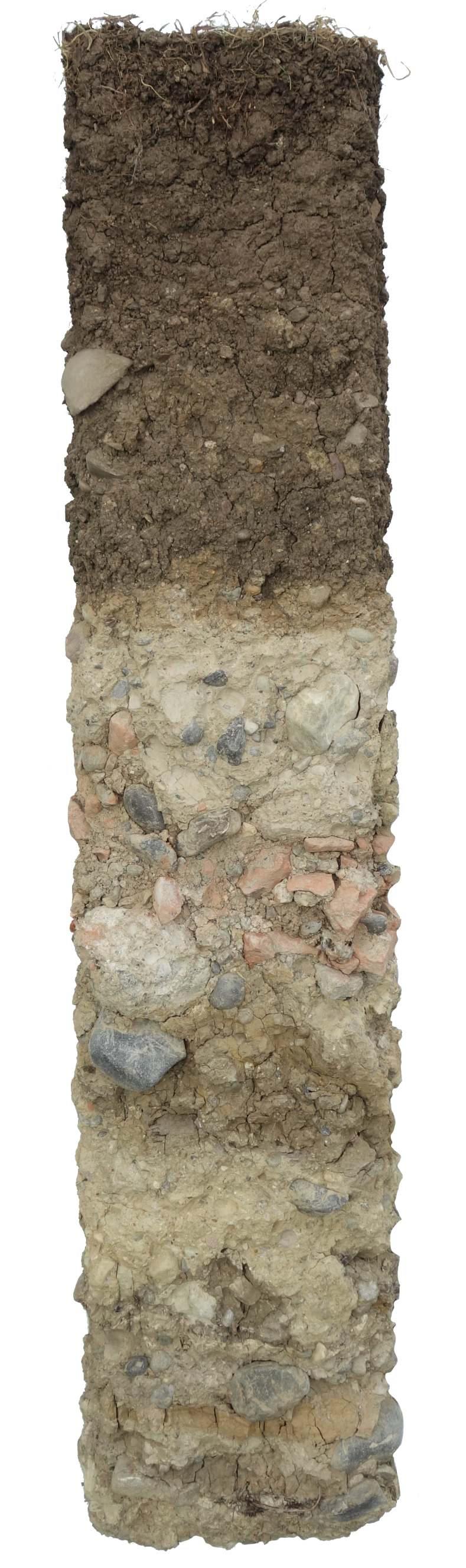 Bodenprofil einer Auffüllung in Regensdorf. Dieser Auffüllung ist stauwassergeprägt und häufig bis zur Oberfläche wassergesättigt. Er wird in der Landwirtschaft als Dauerwiese/Weideland genutzt.