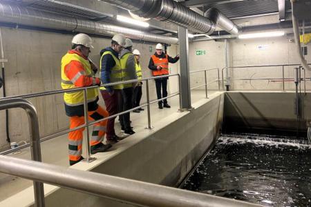 Man sieht vier Personen in Sicherheitswesten und mit weissen Bauhelmen um ein Abwasserklärbecken stehen, während eine Person Erklärungen abgibt. 