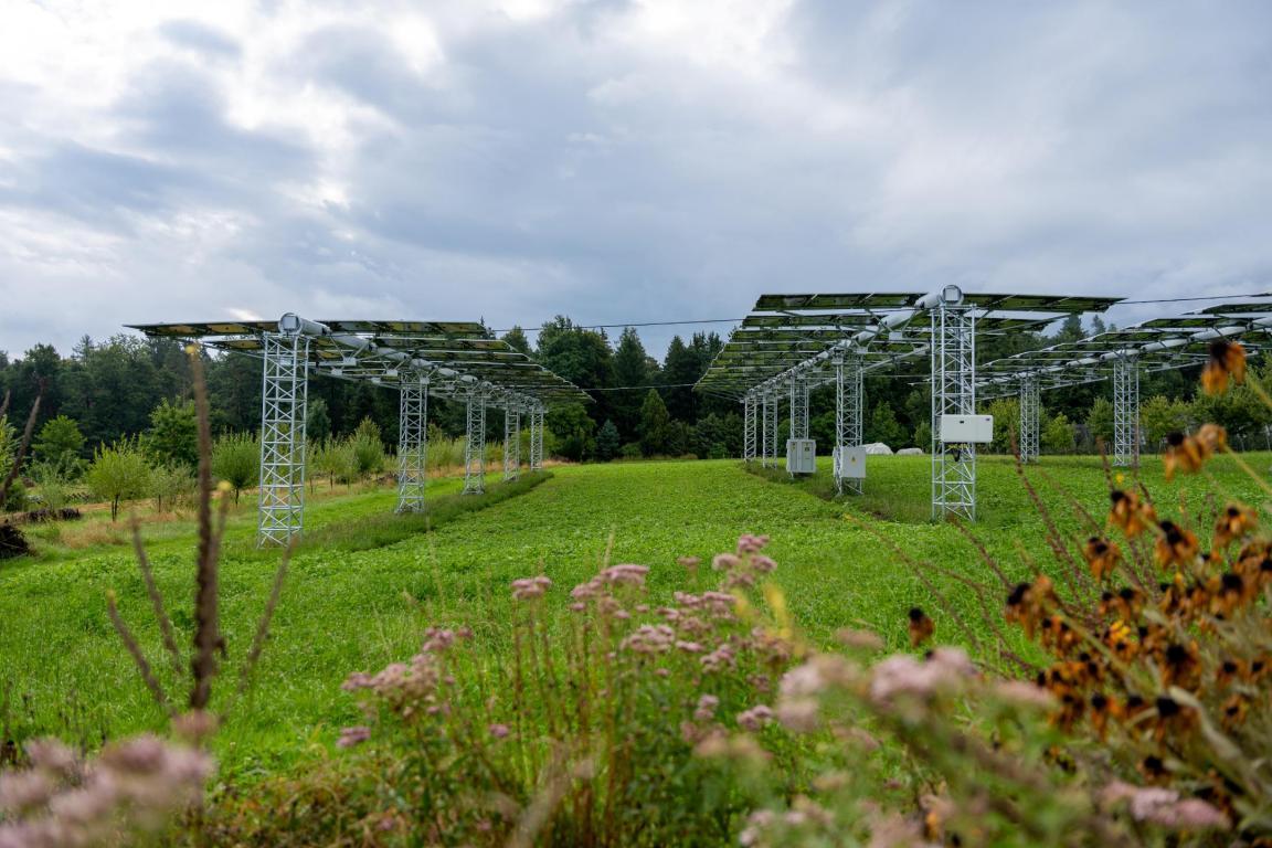 Solarmodule auf Metallstrukturen über einer grünen Fläche, Blumen im Vordergrund, Wald im Hintergrund.
