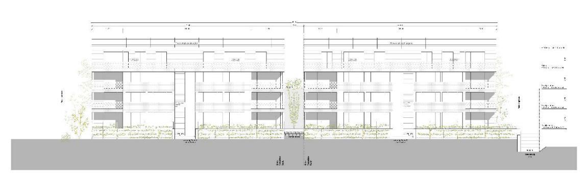 Architektonischer Schnitt zweier geplanter Mehrfamilienhäuser mit Begrünung in Zürich Höngg, Südansicht.