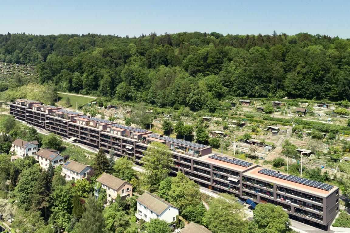 Luftaufnahme der Siedlung Tièchestrasse
