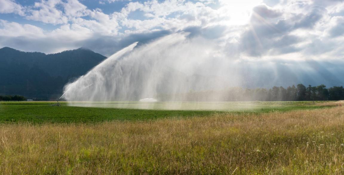 Wasser wird in Fontänen über einem Feld verteilt. 