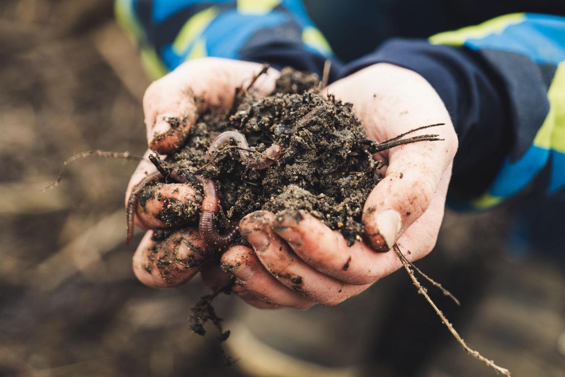 Ein Landwirt zeigt die fruchtbare Erde seines Ackers. 