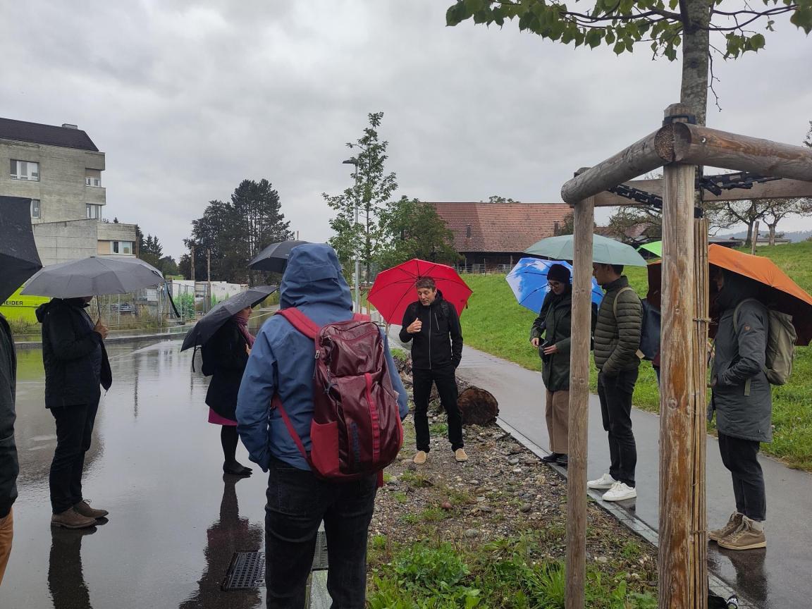 Personen mit Regenschirm stehen um Strassenrabatte mit frisch gepflanzten Bäumen
