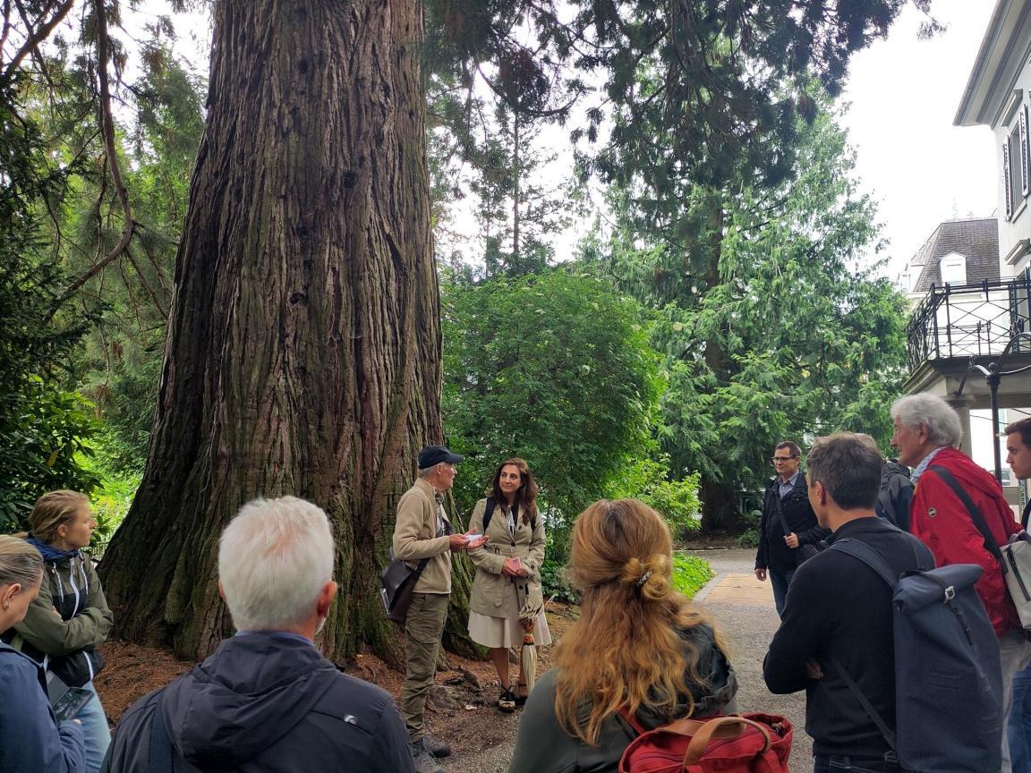 Personen stehen vor einem sehr grossen, alten Baum, bei dem man nur einen Teil seines umfangreichen Stamms sieht