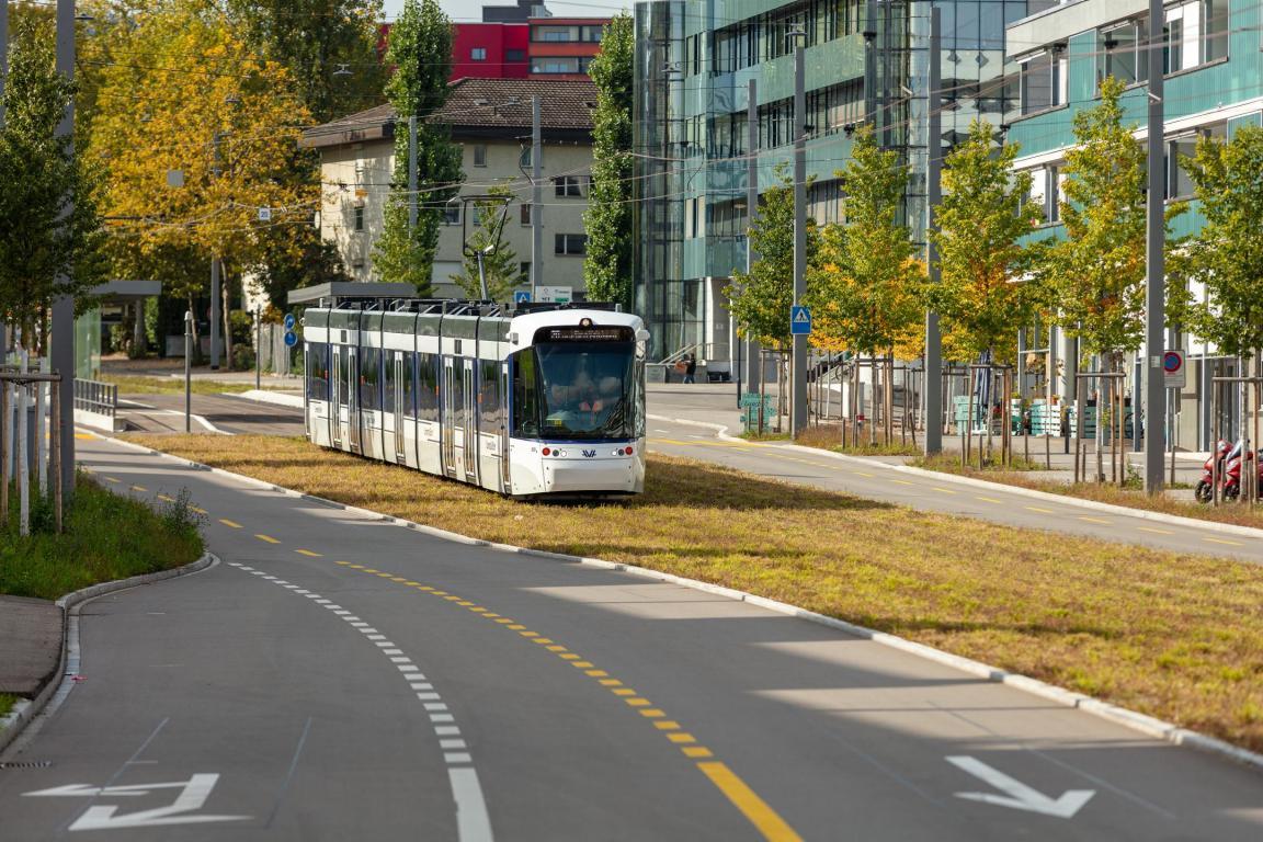 Ein Tram der Limmattalbahn fährt auf begrüntem Trassee