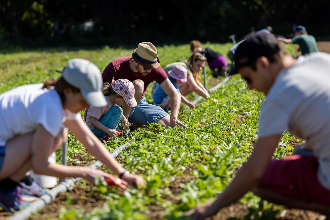 Erwachsene und Kinder gärtnern