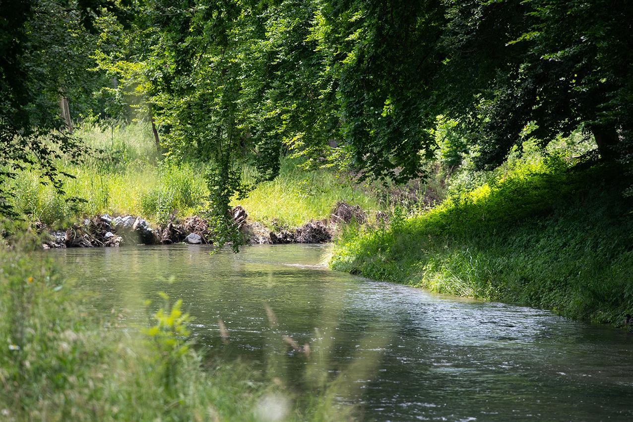 revitalisierter Abschnitt Altried mit Kurven und viel Grün