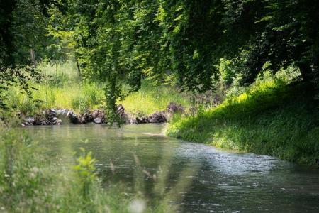 revitalisierter Abschnitt Altried mit Kurven und viel Grün