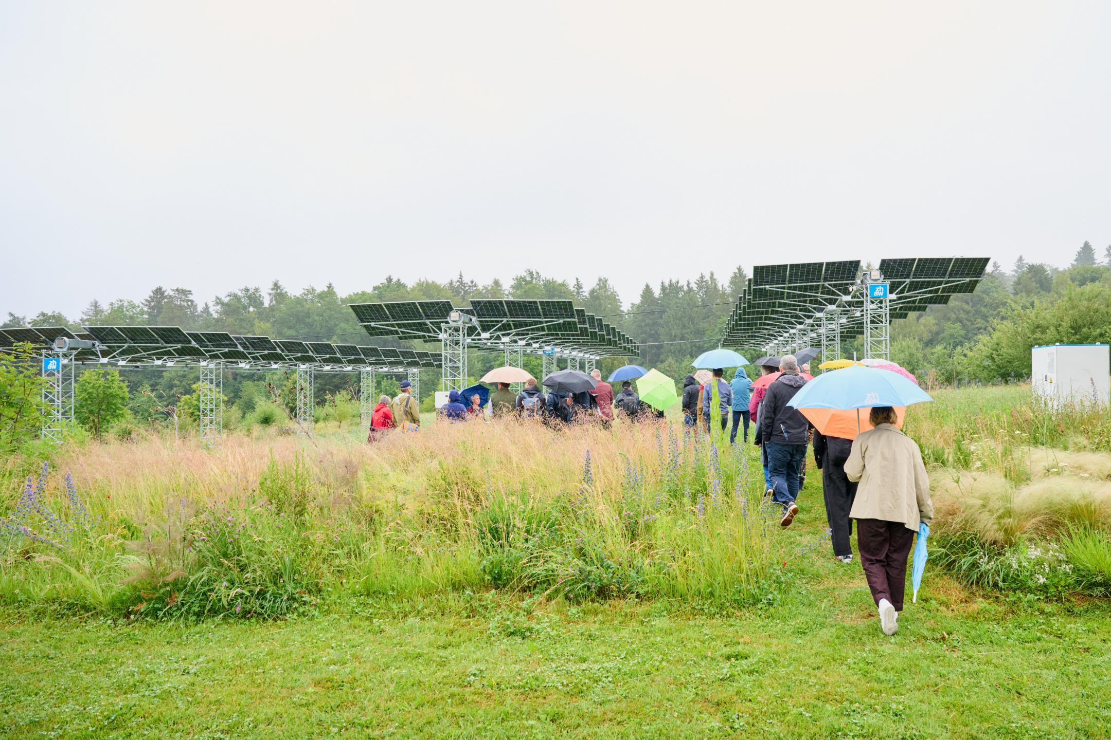Personen mit Regenschirm auf einer Wiese, im Hintergrund eine aufgeständerte PV-Anlage