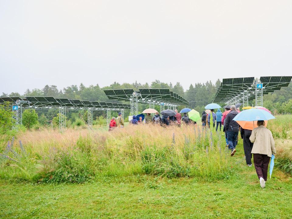 Personen mit Regenschirm auf einer Wiese, im Hintergrund eine aufgeständerte PV-Anlage