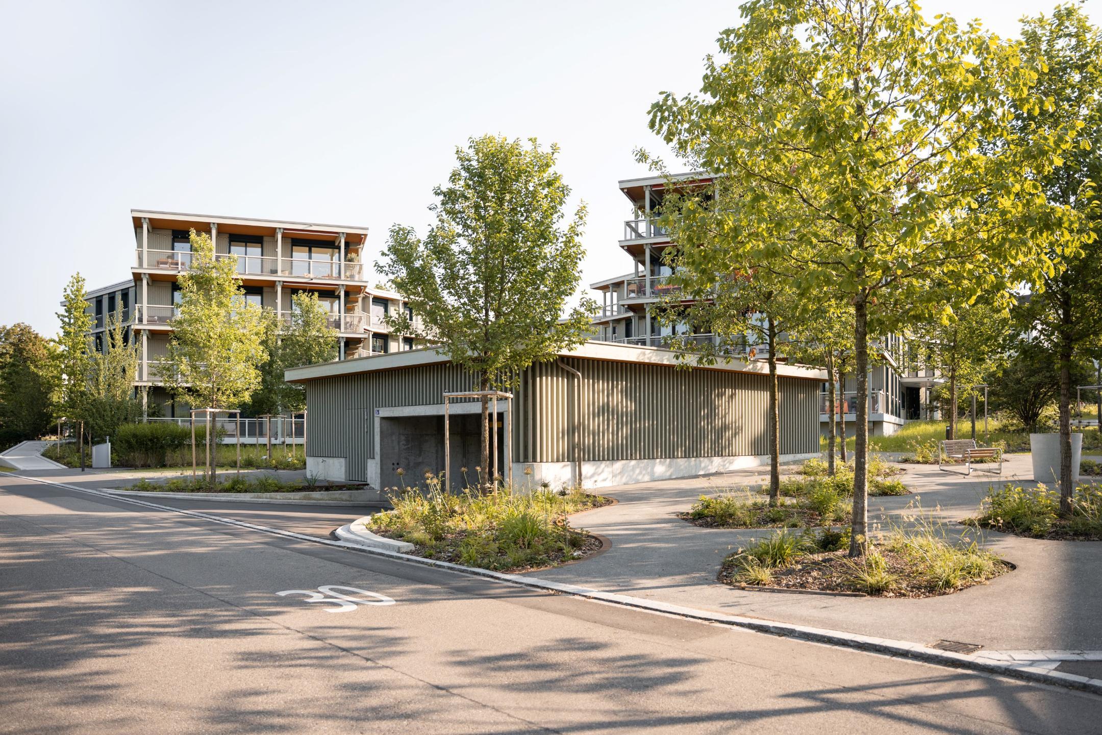 Das Foto zeigt eine moderne Wohnüberbauung mit Holzfassade mit umlaufenden Balkonschichten. Im Aussenraum hat es einen öfentlichen Platz, der mit mehreren mittelgrossen Bäumen beschattet ist. Die Bäume verfügen über grosse begrünte kreisförmige Baumgruben. Es hat einen Brunnen und Sitzgelegenheiten.