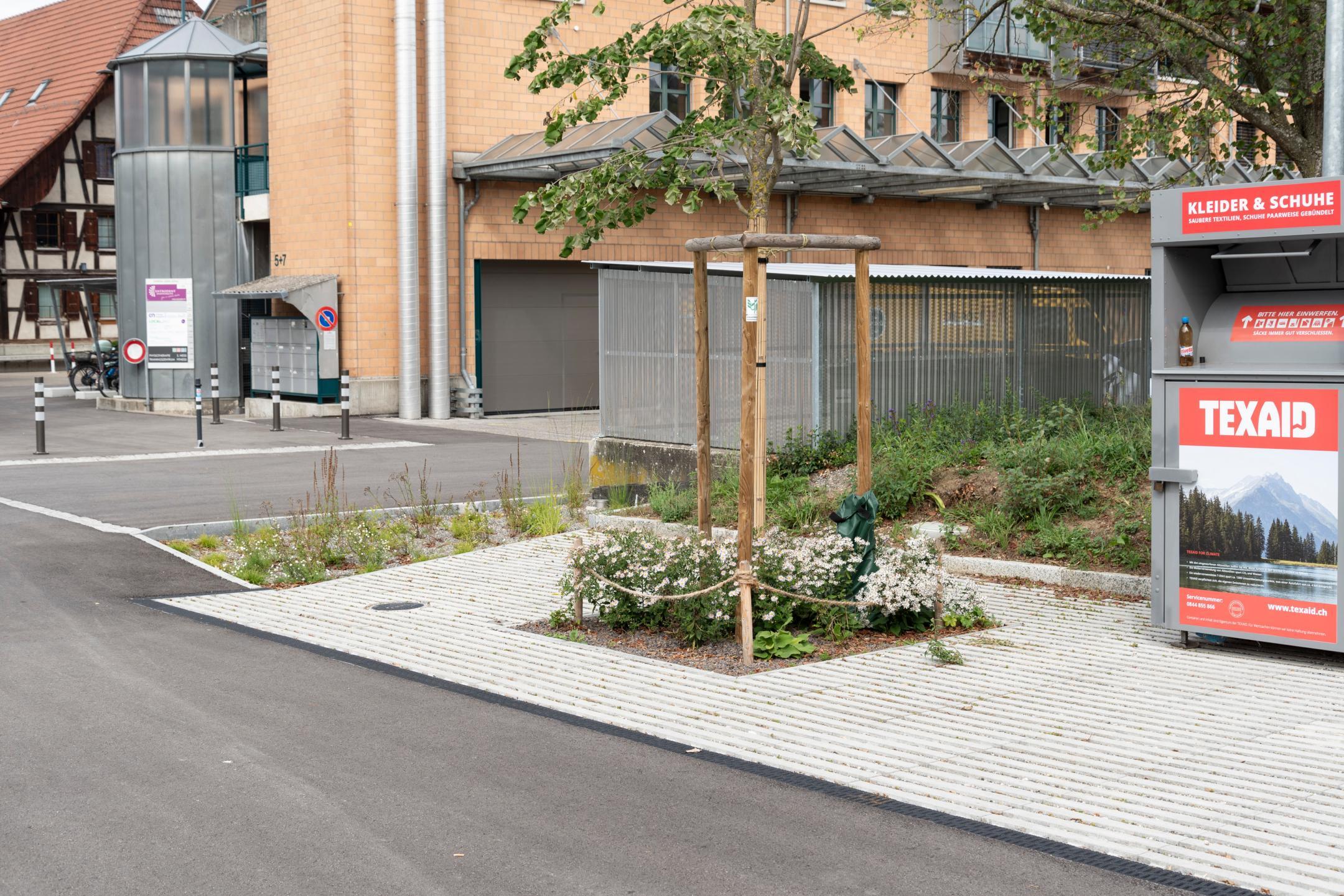 Dorfzentrum mit jungem Baum.