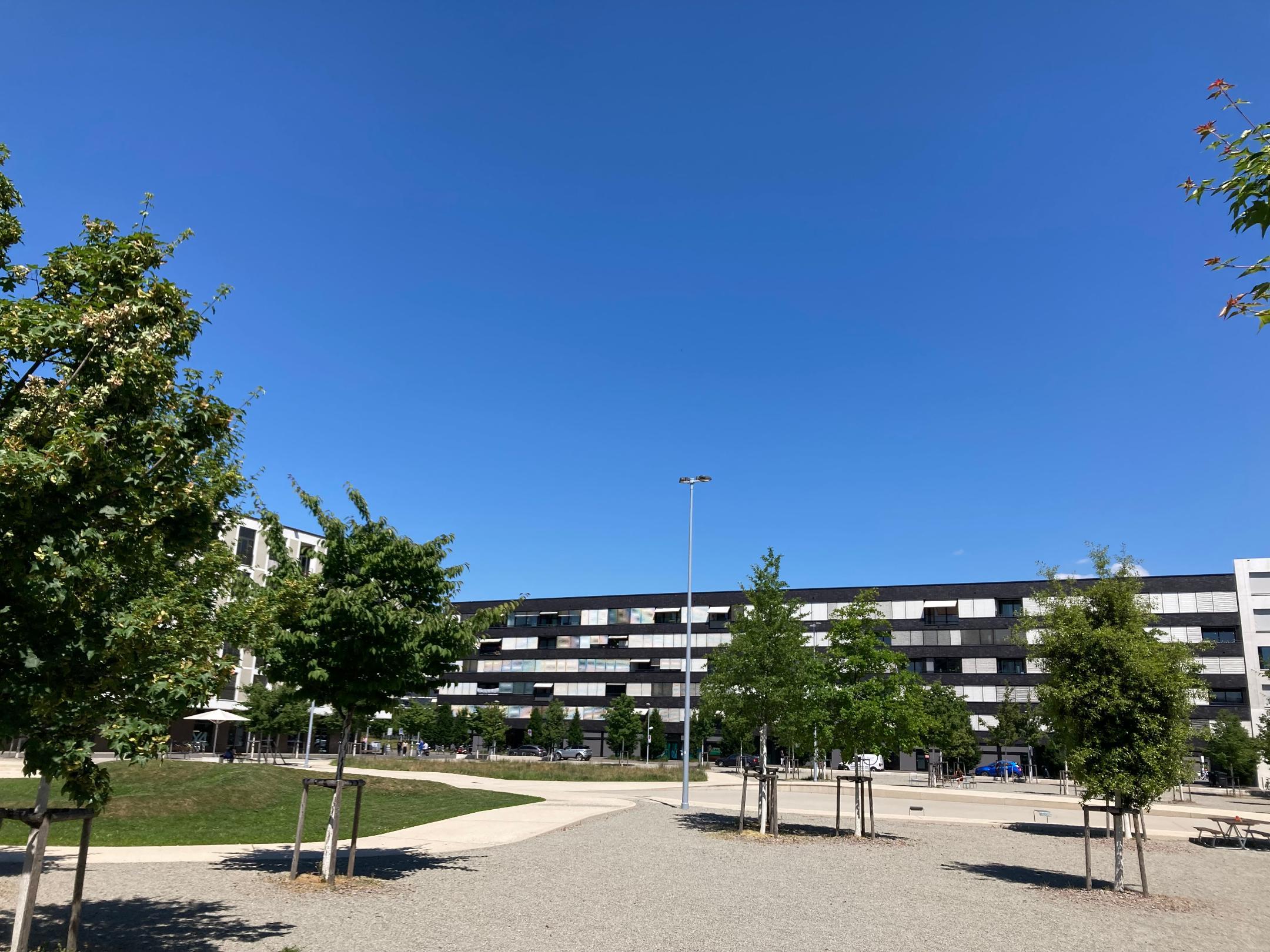 Das Foto zeigt einen öffentlichen Platz. Im vorderen Bereich hat es einen Kiesplatz mit vielen neu gepflanzten Bäumen. Im Hintergrund hat es ein grosses, langes, schwarzes Mehrfamiliengebäude.  Dazwischen liegt ein Betonbecken das Regenwasser auffängt und Wiesenflächen die leicht erhöht sind.  