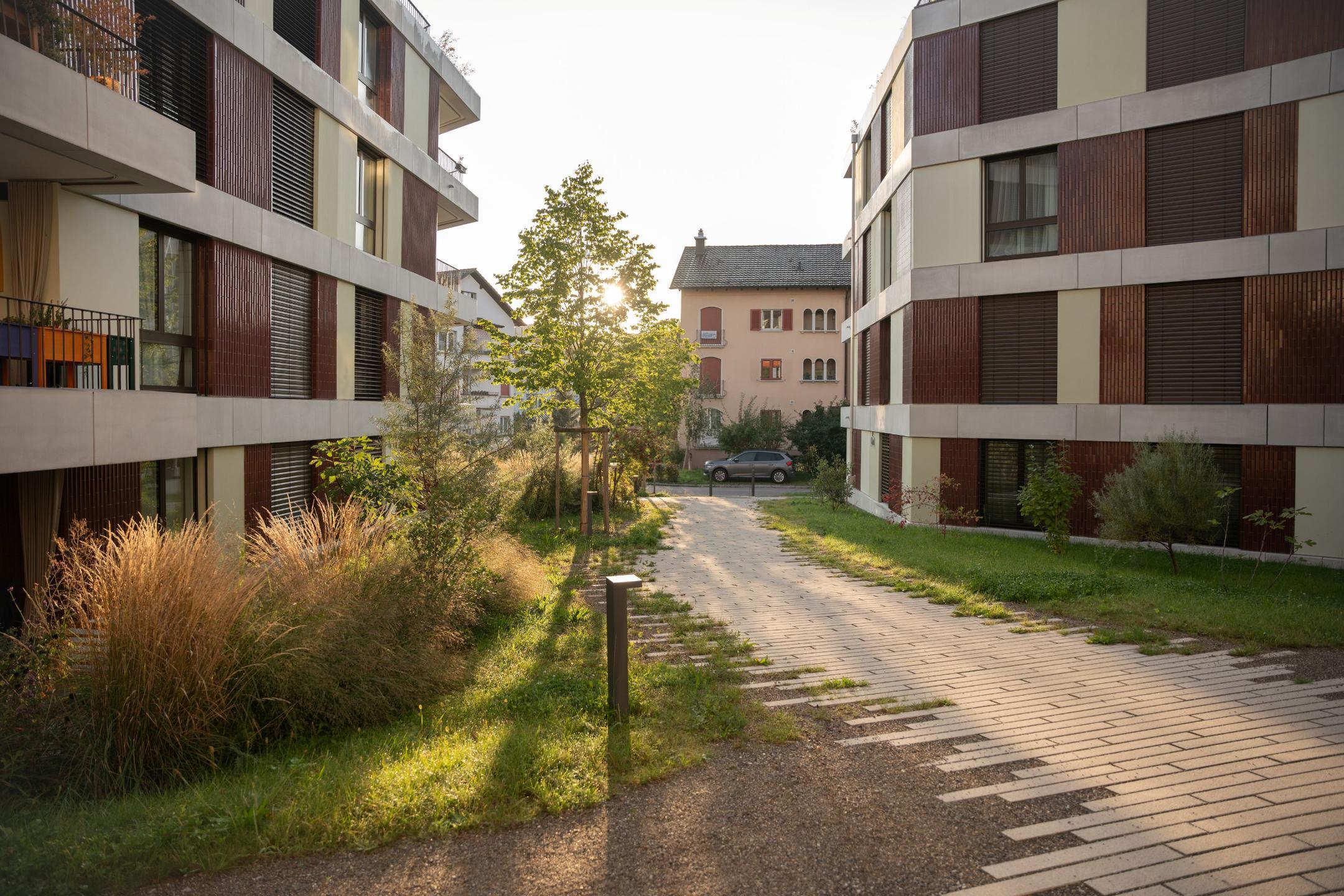 Das Foto zeigt einen Gehweg in einer Mehrfamiliensiedlung. Die Hauptachse ist mit weissen Steinplatten belegt. Die Abgänge zu den Hauseingängen besteht aus einem chaussierten Belag.