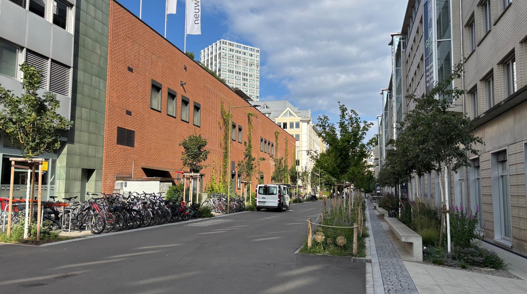 Das Foto zeigt eine Strasse in Winterthur. Auf beiden Seiten der Strasse wurde entsiegelt und mehrere Baumgruben gepflanzt. Auch auf der Seite des Trottoirs wurde eine durchgehende begrünte Baumreihe gesetzt. Zwischen den zwei Baumstreifen hat es einen gepflasterten Weg mit Sitzelementen.