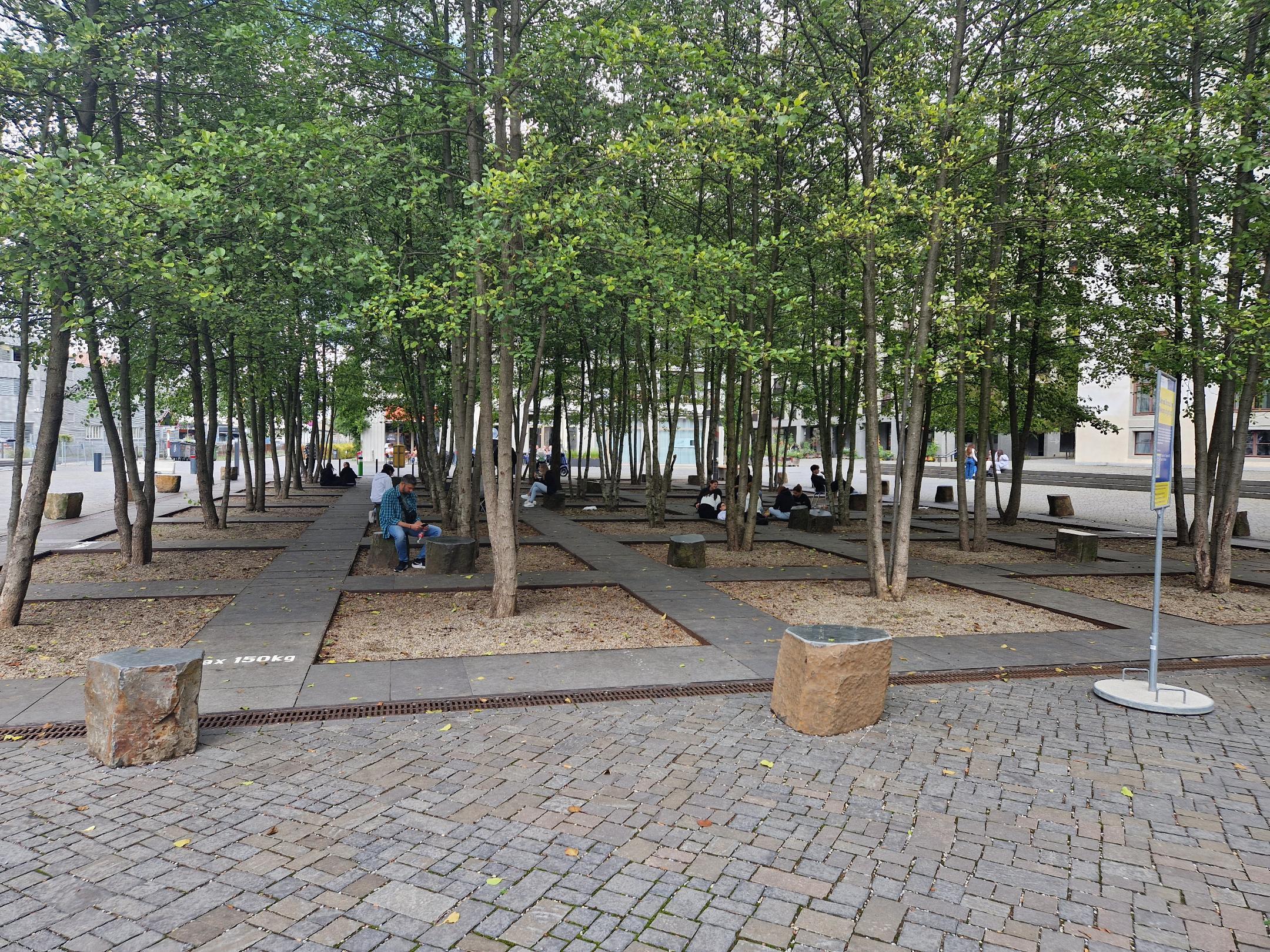 Das Foto zeigt einen Platz mit quadratisch gestalteten Baumreihen. Zwischen den Kiesflächen mit den gepflanzten, mittelgrossen Bäumen befindet sich ein orthogonales Raster aus Betonplatten. Darauf stehen Einzelsitzplätze in Form von abgesägten Baumstämmen aus Stein. Menschen sitzen darauf.    