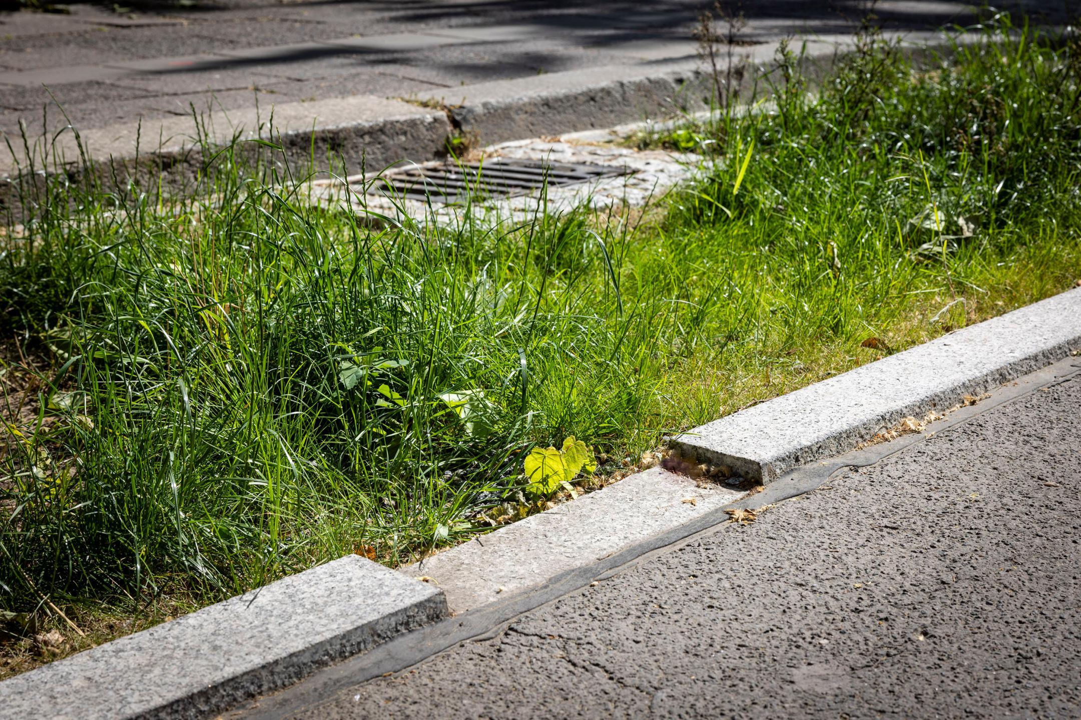Das Foto zeigt einen Randabschluss mit einer Öffnung, durchwelche das Strassenwasser in einen Grünstreifen entwässern kann.
