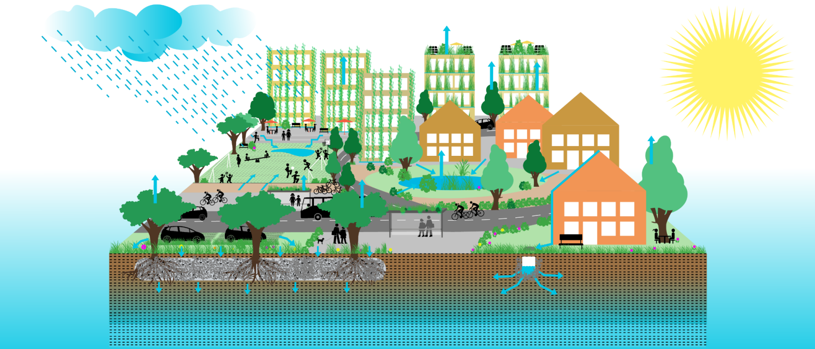 Die Illustration zeigt ein urbanes Siedlungsgebiet mit Strassen, Bäumen, Häuser mit Fassadenbegrünung, einen öffentlichen begrünten Platz, Grünflächen oder Versickerungsfähige Flächen. Hellblaue Pfeile zeigen den Weg wie das Wasser im Boden versickern oder über die Luft Verdunsten kann. 