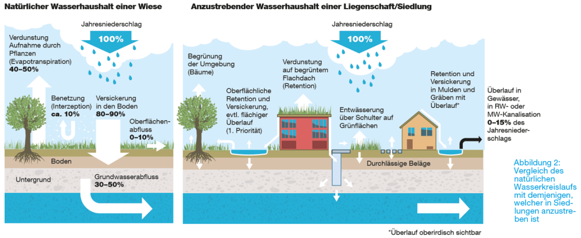 Die Grafik vergleicht den Wasserhaushalt einer natürlichen Wiese mit einem nachhaltigen Wassermanagement in einer Siedlung.