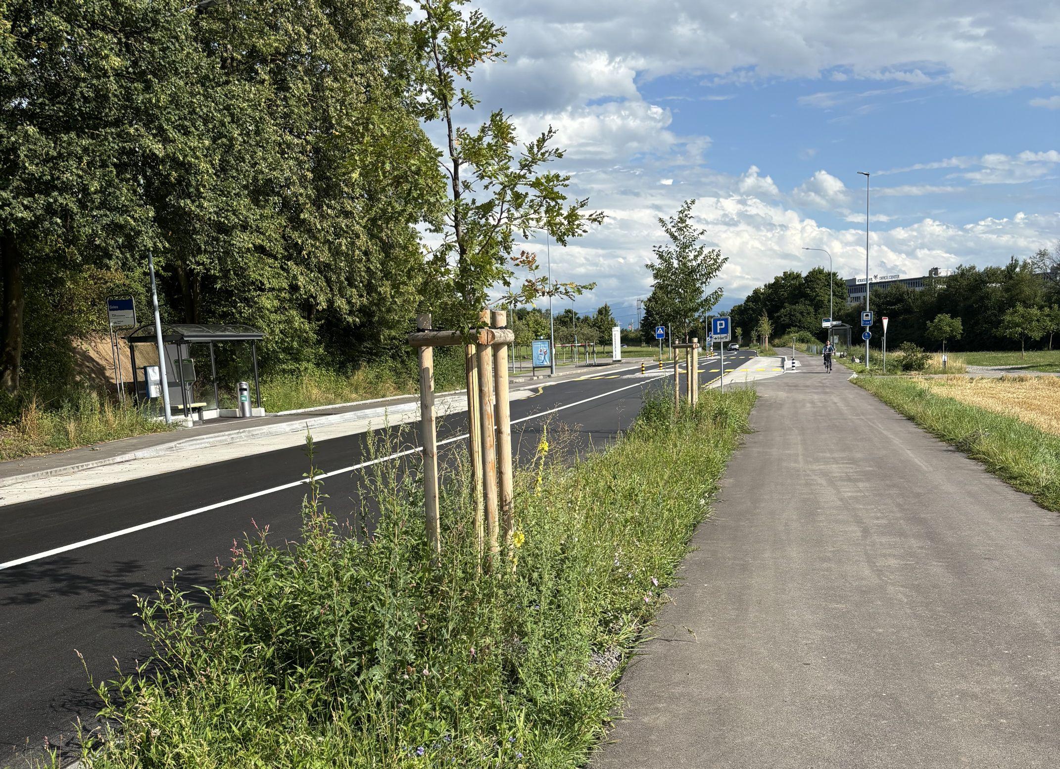 Strasse mit angrenzendem Trottoir und Fahrradweg, dazwischen eine begrünte Sickermulde mit neu gepflanzten Bäumen.