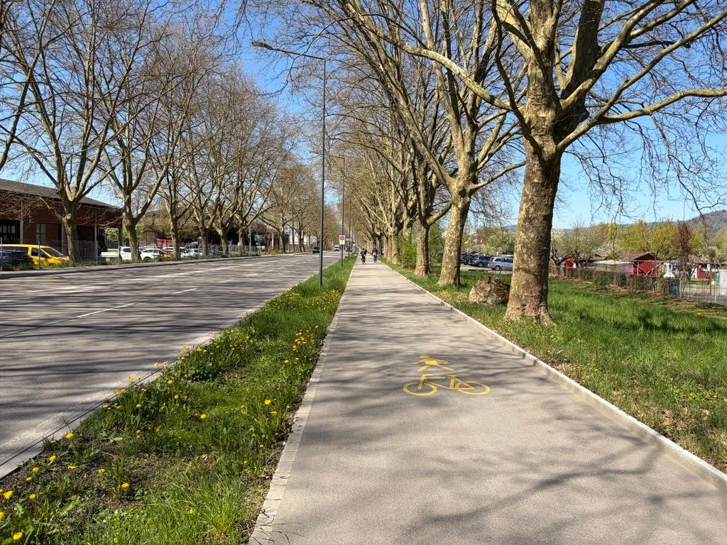 Strasse mit angrenzendem Fahrradweg, dazwischen eine begrünte Mulde zur Regenwasseraufnahme als Teil eines Schwammstadtkonzepts.