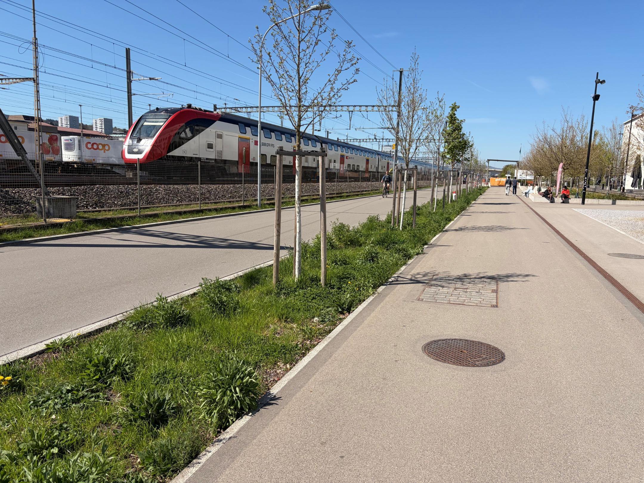 Strasse mit angrenzendem Fahrradweg, dazwischen eine begrünte Mulde zur Regenwasseraufnahme als Teil eines Schwammstadtkonzepts. 