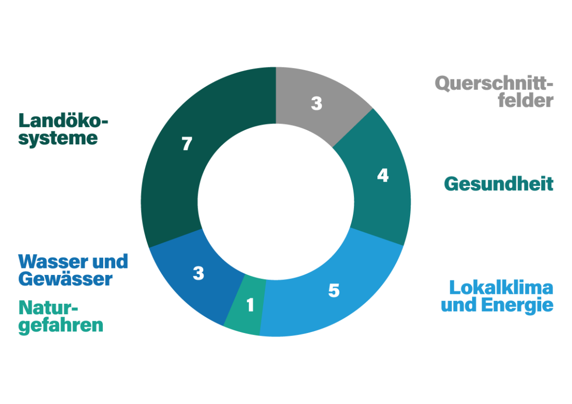 Ringdiagramm, das die Anzahl Massnahmen pro Handlungsbereich aufzeigt. Insgesamt laufen 23 Massnahmen im Bereich Klimaanpassung.